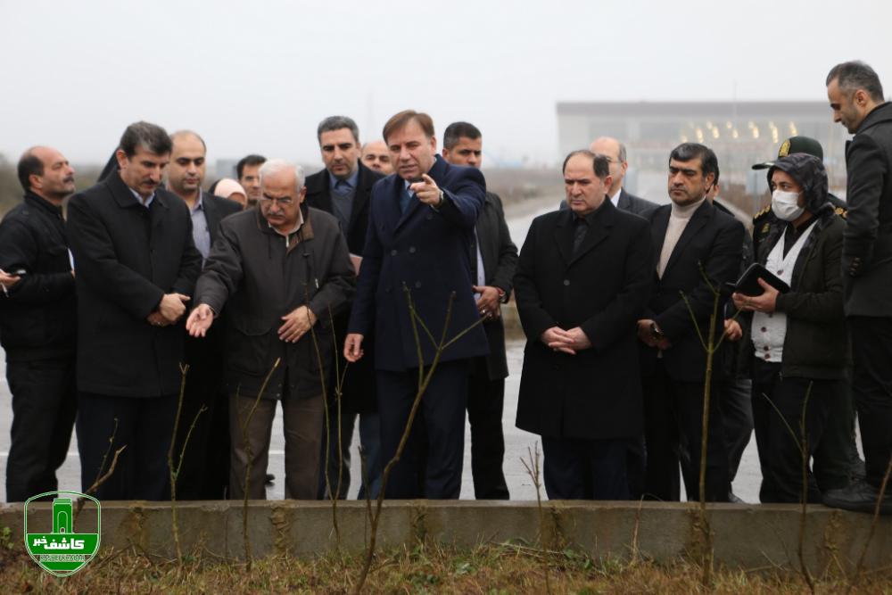 حفظ گونه های ارزشمند انجیلی یادگار عصر یخبندان در گیلان حفظ گونه های ارزشمند انجیلی یادگار عصر یخبندان در گیلان