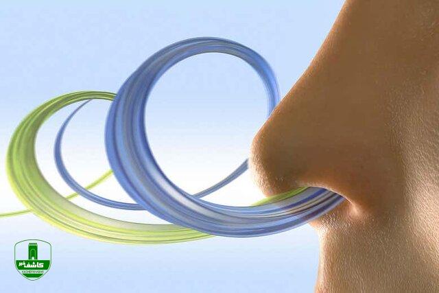 نحوه تقویت حس “بویایی” بعد از بهبود عفونتهای ویروسی