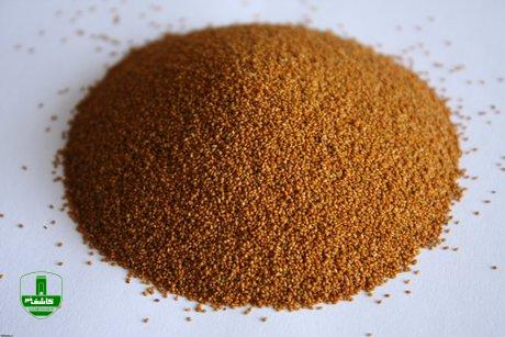 آیا خاکشیر بر پیشگیری از ابتلا یا درمان کرونا اثر دارد؟