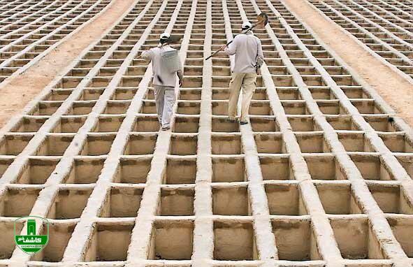 آمار فوتی های گیلان در سال98/ زمستان رکورد زد آمار فوتی های گیلان در سال۹۸/ زمستان رکورد زد