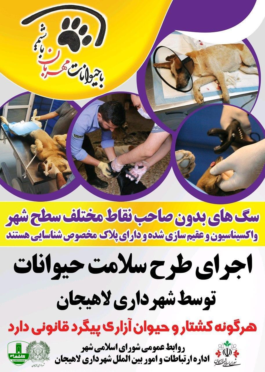 طرح سلامت حیوانات توسط شهرداری لاهیجان اجرا می شود