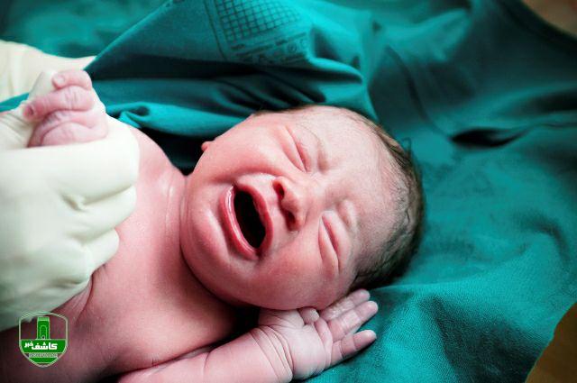 ثبت بیش از ۷۰ مورد تولد در آخرین تاریخ رند قرن /۲۰ تولد روز رند در تالش