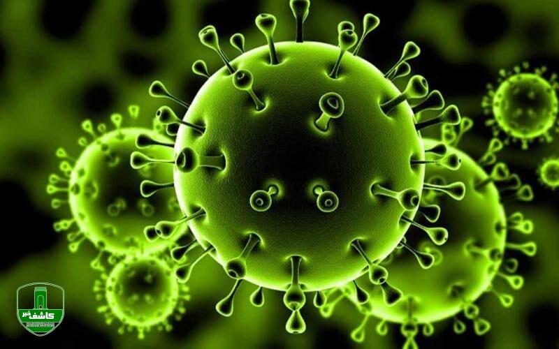 روند صعودی ابتلا به کرونا در گیلان؛ کرونای انگلیسی تاکنون در گیلان دیده نشده است روند صعودی ابتلا به کرونا در گیلان؛ کرونای انگلیسی تاکنون در گیلان دیده نشده است