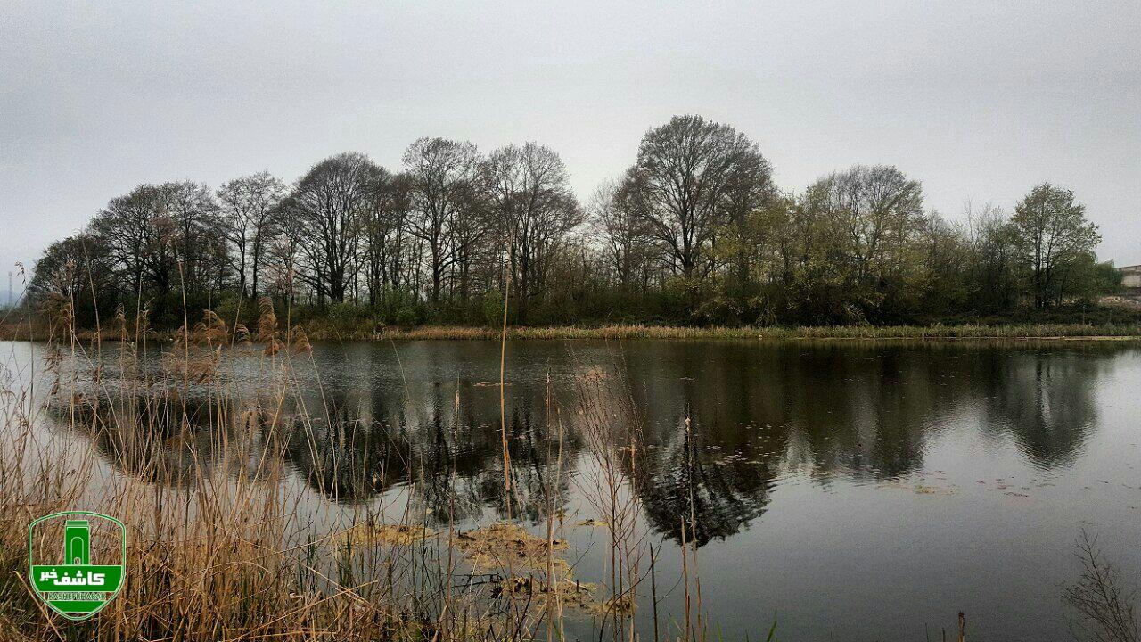 گزارش تصویری تالاب حاجی آباد لاهیجان