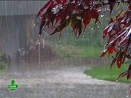 باران در راه استان است/ گیلان تا ۸ درجه خنک می شود