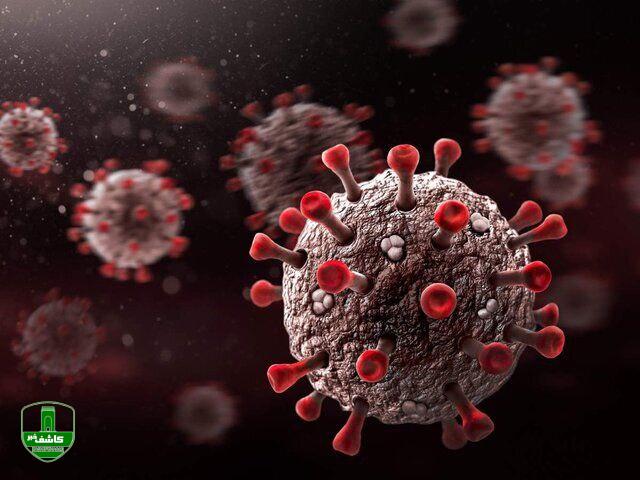 رکوردشکنی کرونا در گیلان/فوت 53 بیمار کرونایی در شبانه روز گذشته رکوردشکنی کرونا در گیلان/فوت ۵۳ بیمار کرونایی در شبانه روز گذشته