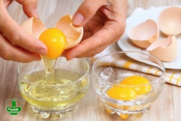 مصرف هفته‌ای ۴ تا ۵ تخم مرغ سبب افزایش چربی خون نمی‌شود