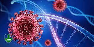 سخنگوی علوم پزشکی گیلان عنوان کرد: افزایش نگرانی ها از شروع زودهنگام پیک کرونا/ ۱۰۳ بیمار دیروز در گیلان بستری شدند سخنگوی علوم پزشکی گیلان عنوان کرد: افزایش نگرانی ها از شروع زودهنگام پیک کرونا/ ۱۰۳ بیمار دیروز در گیلان بستری شدند