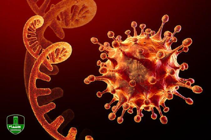 اُمیکرون" در کشور رو به افول / شرط برقراری شرایط مناسب در نوروز اُمیکرون” در کشور رو به افول / شرط برقراری شرایط مناسب در نوروز