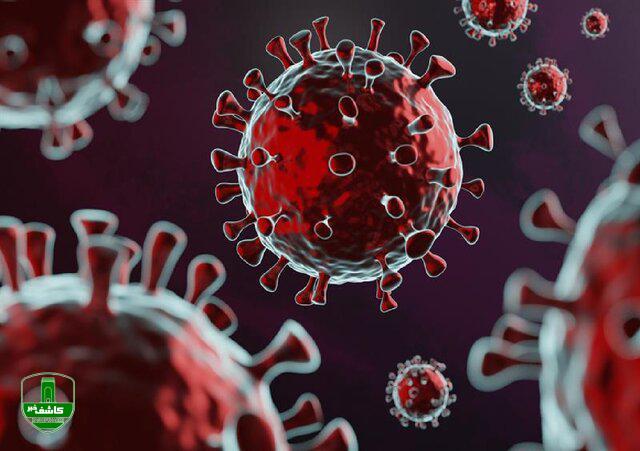 بازگشت زرد کرونایی به گیلان/ آرامش موج ششم با واکسیناسیون