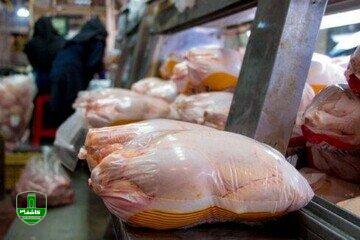 رکود در بازار مرغ ارتباطی به قدرت خرید مردم ندارد رکود در بازار مرغ ارتباطی به قدرت خرید مردم ندارد