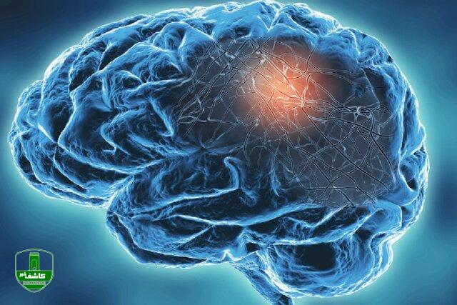 ابتلای شدید به کرونا مغز را ۲۰ سال پیر میکند! ابتلای شدید به کرونا مغز را ۲۰ سال پیر میکند!
