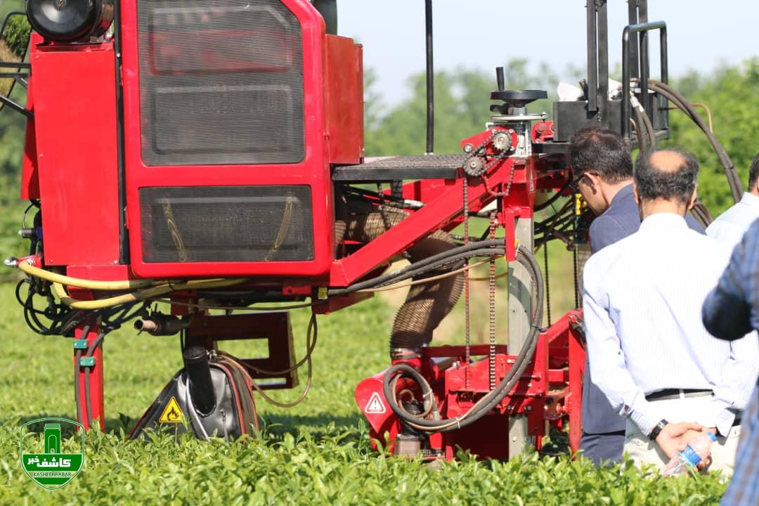 بهره برداری از اولین کمباین چندمنظوره برداشت برگ سبز چای در ایران