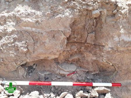 معاون میراثفرهنگی خوزستان خبر داد: کشف یک گورستان اشکانی در اهواز معاون میراثفرهنگی خوزستان خبر داد: کشف یک گورستان اشکانی در اهواز