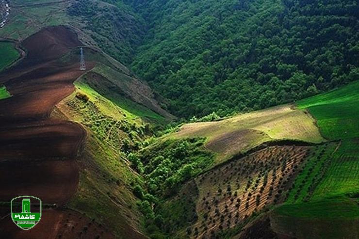 ورود ممنوع؛چوب حراج به خاک هیرکانی / نیسانی یک میلیون و ۵۰۰ هزار تومان!/لایروبی برکه «اِروِت» واقع در جنگل چهاردانگه با دستور دادستان متوقف شد