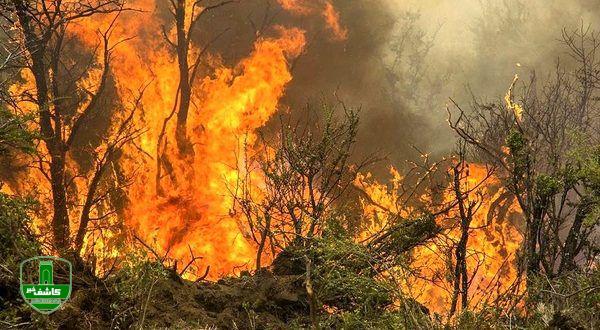 هشدار منابع طبیعی؛ خطر آتش سوزی در مناطق جنگلی با افزایش دما