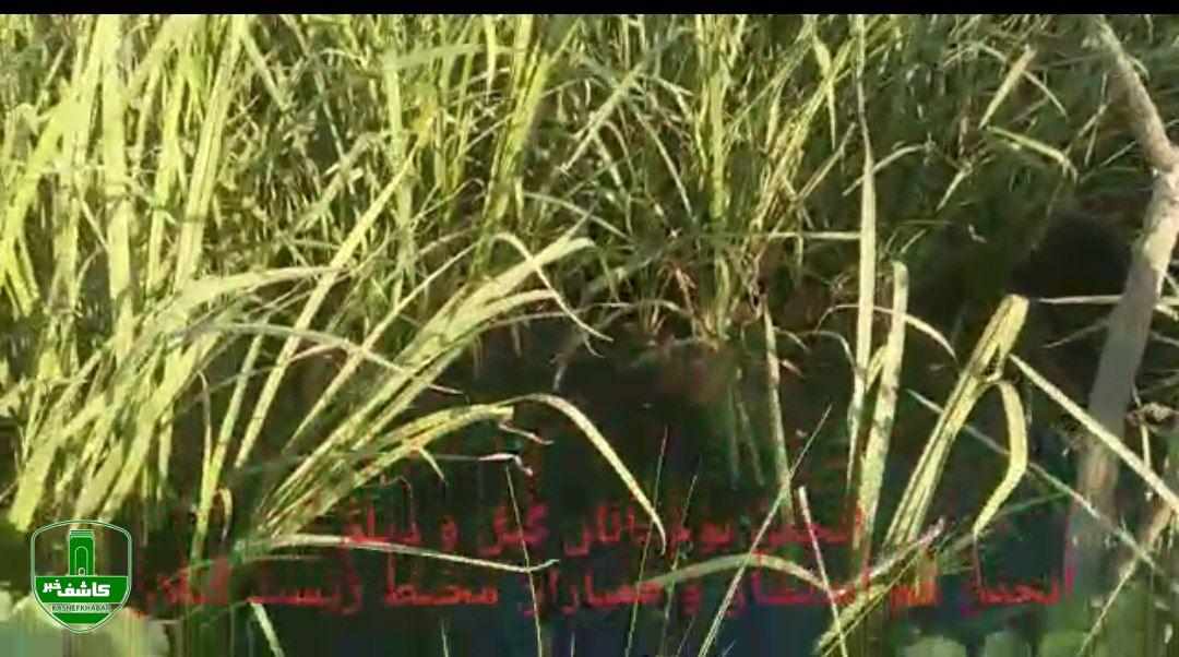 گزارش سمنهای محیط زیستی لاهیجان به همراهان همیشگی گزارش سمنهای محیط زیستی لاهیجان به همراهان همیشگی