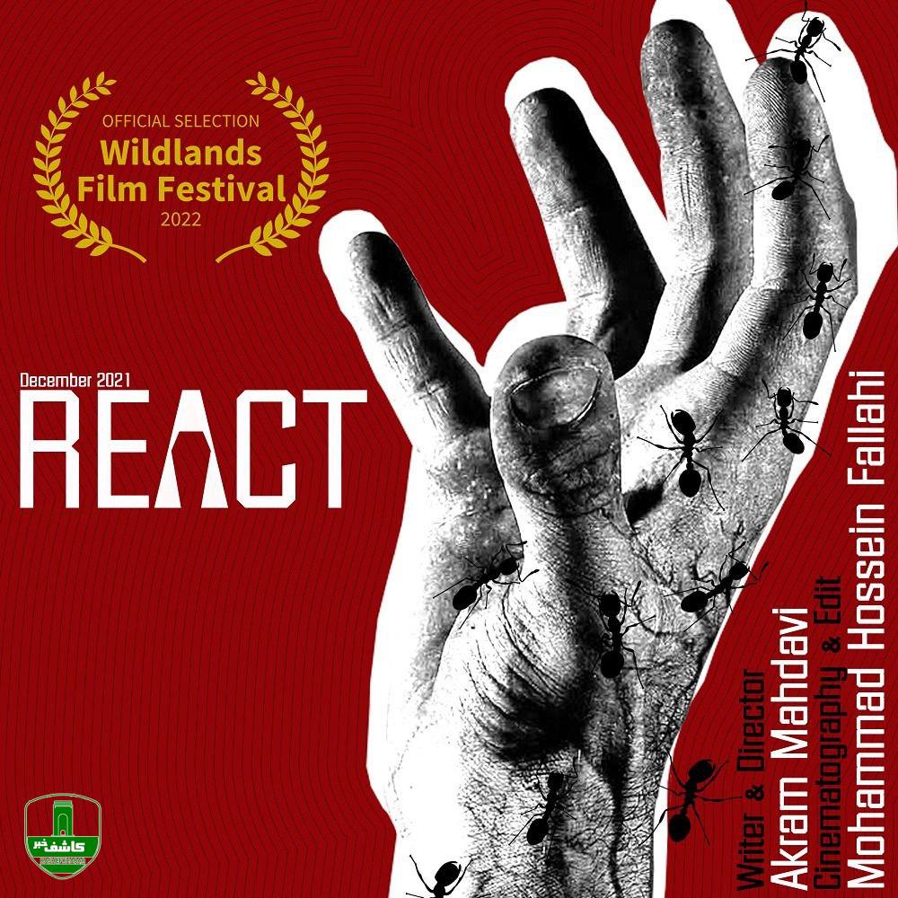 فیلم کوتاه کارگردان لاهیجانی به فستیوال فیلم آمریکا راه یافت