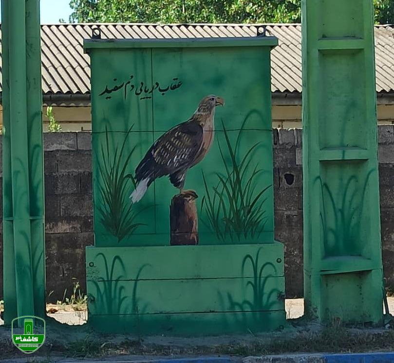 زیباسازی هدفمند شهری رنگ‌آمیزی کافو‌های بندر کیاشهر با بهره‌گرفتن از تصاویر پرندگان پارک ملی بوجاق
