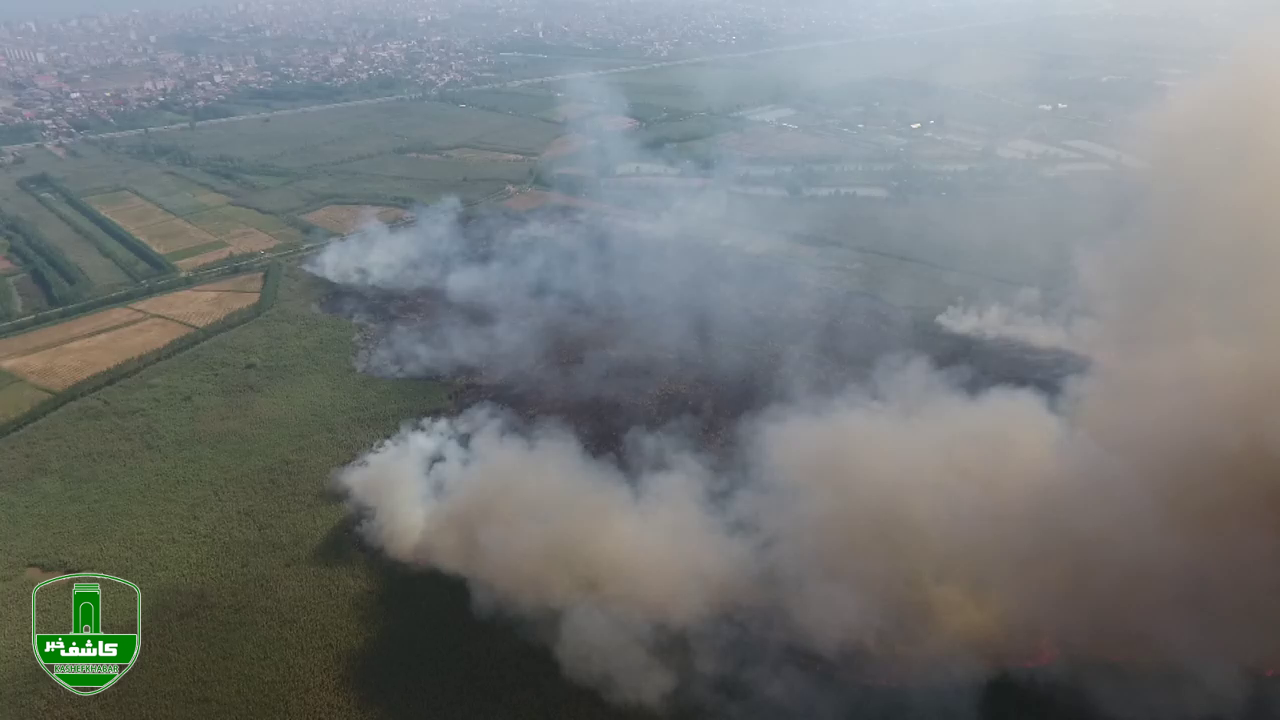 آتش سوزی عمدی تالاب ؛ دستگیری عامل آتش سوزی عمدی نیزارهای تالاب انزلی