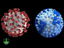 افزایش ابتلا به آنفلوانزا در گیلان