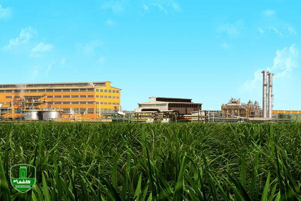 برای سومین سال متوالی؛ تندیس نقرهای جایزه ملی انرژی به نیشکر دهخدا رسید