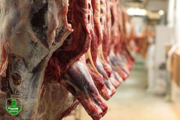 رئیس اتحادیه گوشت گوسفندی عنوان کرد ؛ علت افزایش قیمت گوشت/ مسئولان وعده کاهش قیمت‌ را داده‌اند