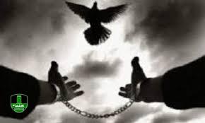 گذشت از قصاص قتل پس از ۱۱ سال در لاهیجان