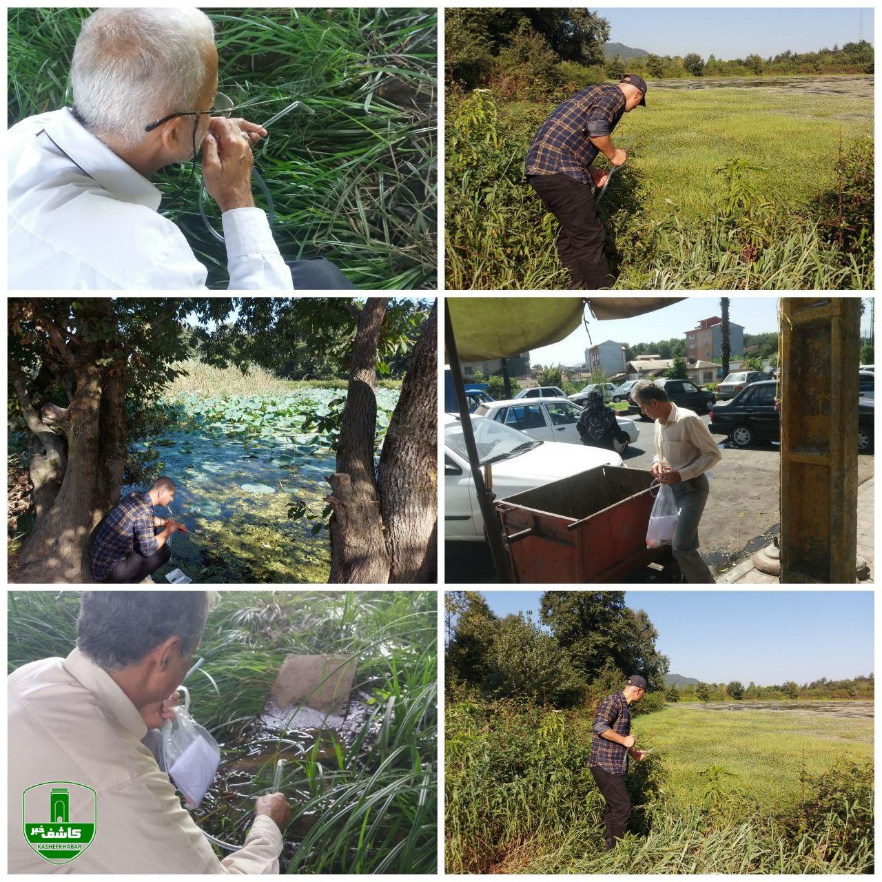 مه پاشی و بهسازی محیط اقدامی پیشگیرانه و مراقبتی جهت ازدیاد پشه آئدس است.