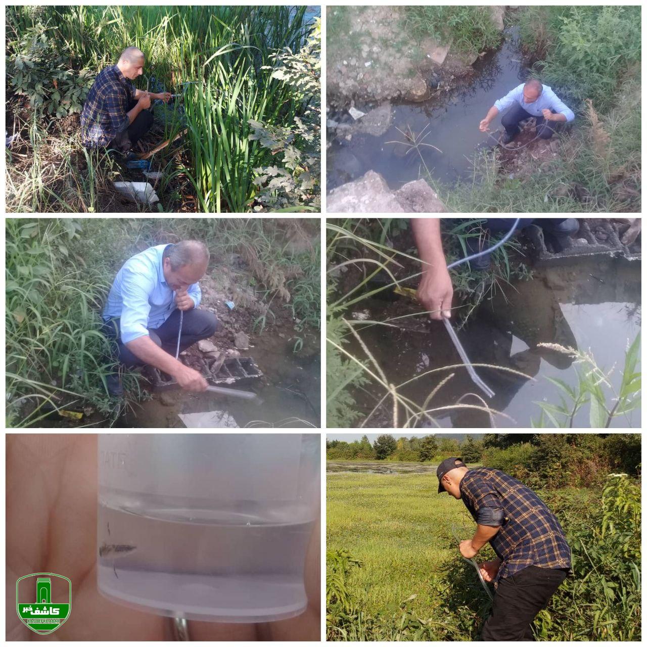 مدیر شبکه بهداشت و درمان شهرستان لاهیجان خبر داد؛ مقابله با پشه «آئدس» در لاهیجان با جدیت دنبال میشود