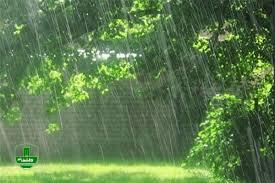 سه روز بارانی در انتظار گیلانی ها