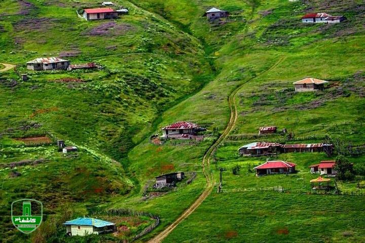 چرا گیلان اینقدر پیر شده؟/ فریادهای خشمگین طلاق،جای خنده کودکان نشسته چرا گیلان اینقدر پیر شده؟/ فریادهای خشمگین طلاق،جای خنده کودکان نشسته چرا گیلان اینقدر پیر شده؟/ فریادهای خشمگین طلاق،جای خنده کودکان نشسته چرا گیلان اینقدر پیر شده؟/ فریادهای خشمگین طلاق،جای خنده کودکان نشسته