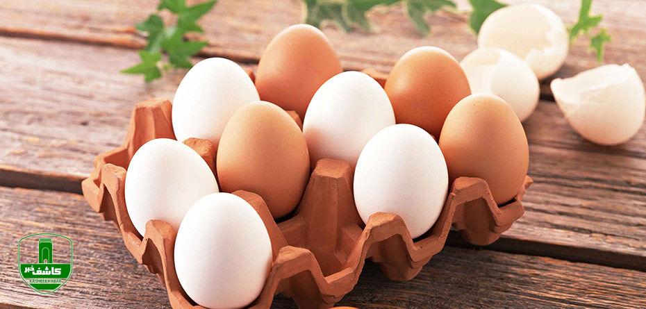 متخصص تغذیه تاکید کرد؛ افراد سالم هر روز یک عدد تخم مرغ بخورند