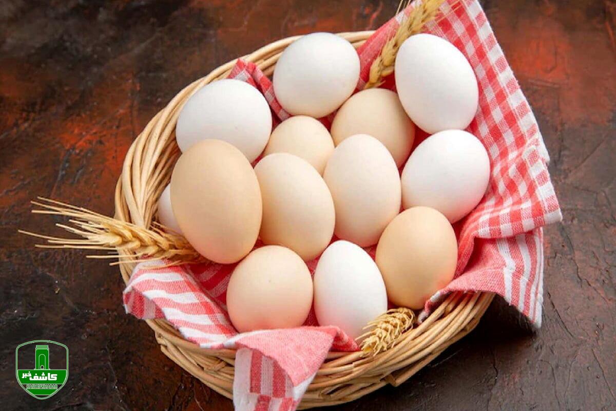 نکاتی که باید هنگام مصرف تخم مرغ رعایت کنیم