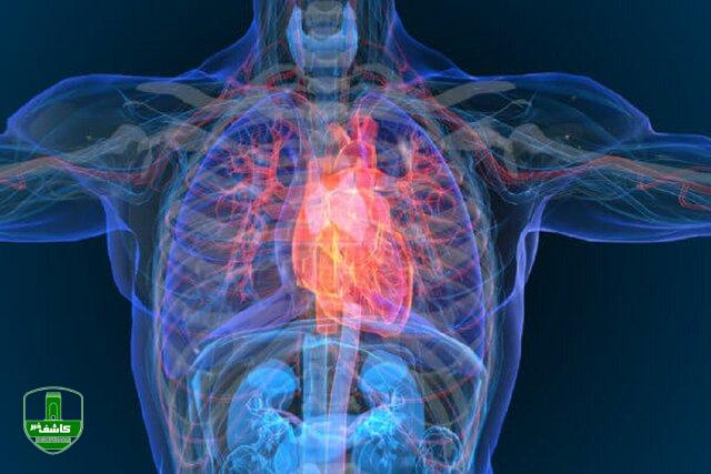 پیش‌بینی حملات قلبی با دقت بیش از ۹۹ درصد با هوش مصنوعی
