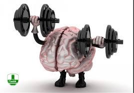 ۱۰ ماده غذایی مفید برای تقویت مغز و حافظه