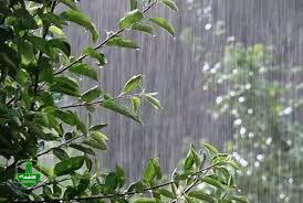 شدت بارش‌ها از فردا در گیلان