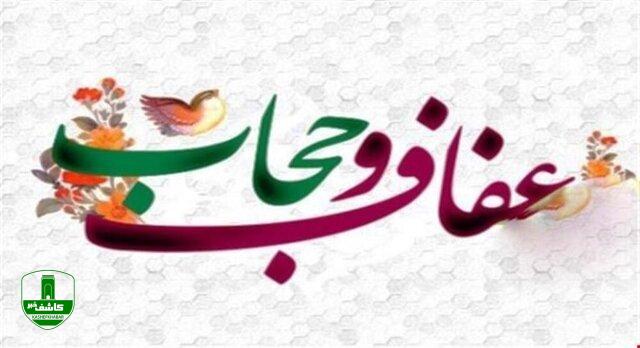 رفع ایرادات شورای نگهبان به قانون عفاف و حجاب، شاید سال آینده/ لایحه بودجه در اولویت است رفع ایرادات شورای نگهبان به قانون عفاف و حجاب، شاید سال آینده/ لایحه بودجه در اولویت است