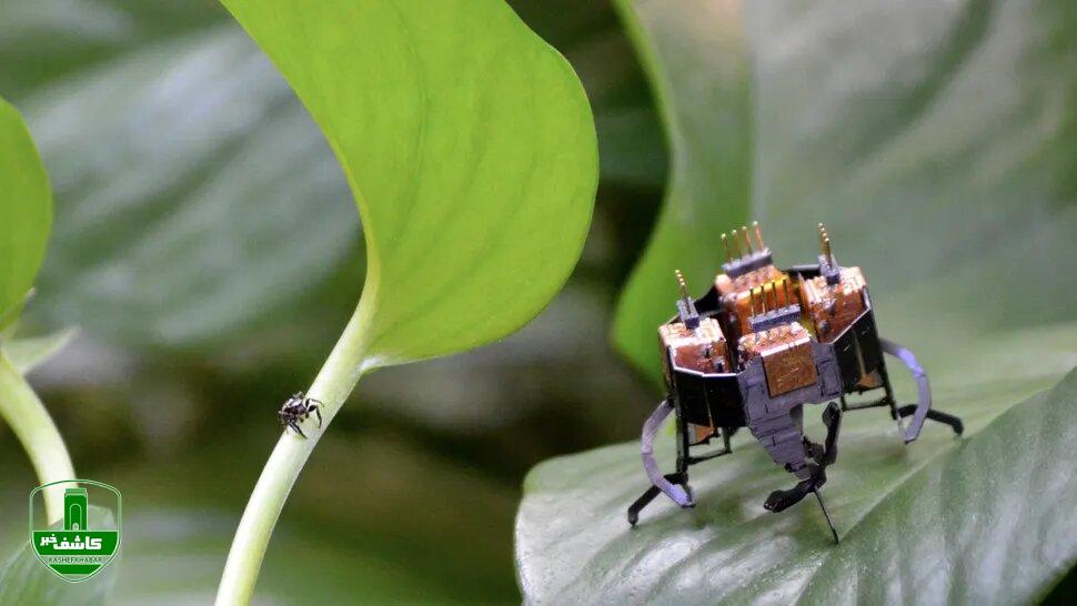 توانایی خارقالعاده ربات یک گرمی/ از پس هر کاری بر میآید/ عکس