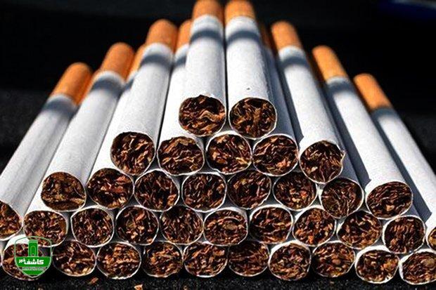 رئیس دبیرخانه ستاد کشوری کنترل دخانیات وزارت بهداشت اعلام کرد؛ افزایش ۱۹۰ درصدی مصرف سیگار در زنان / نگرانی از رشد مصرف در گروه‌های سنی حساس