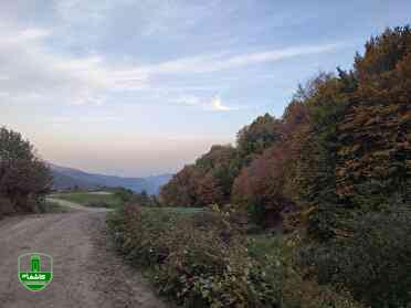 هشدار سطح نارنجی هواشناسی گیلان