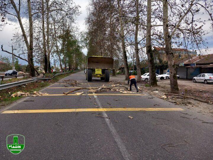 وزش باد شدید و افزایش دما در راه گیلان