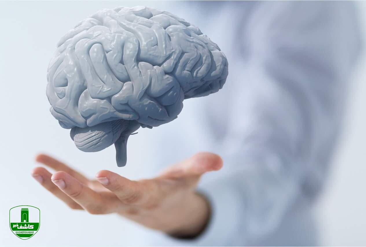 برای تقویت حافظه این خوراکیها را بخورید