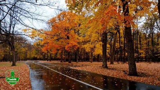 برف و باران در راه گیلان برف و باران در راه گیلان