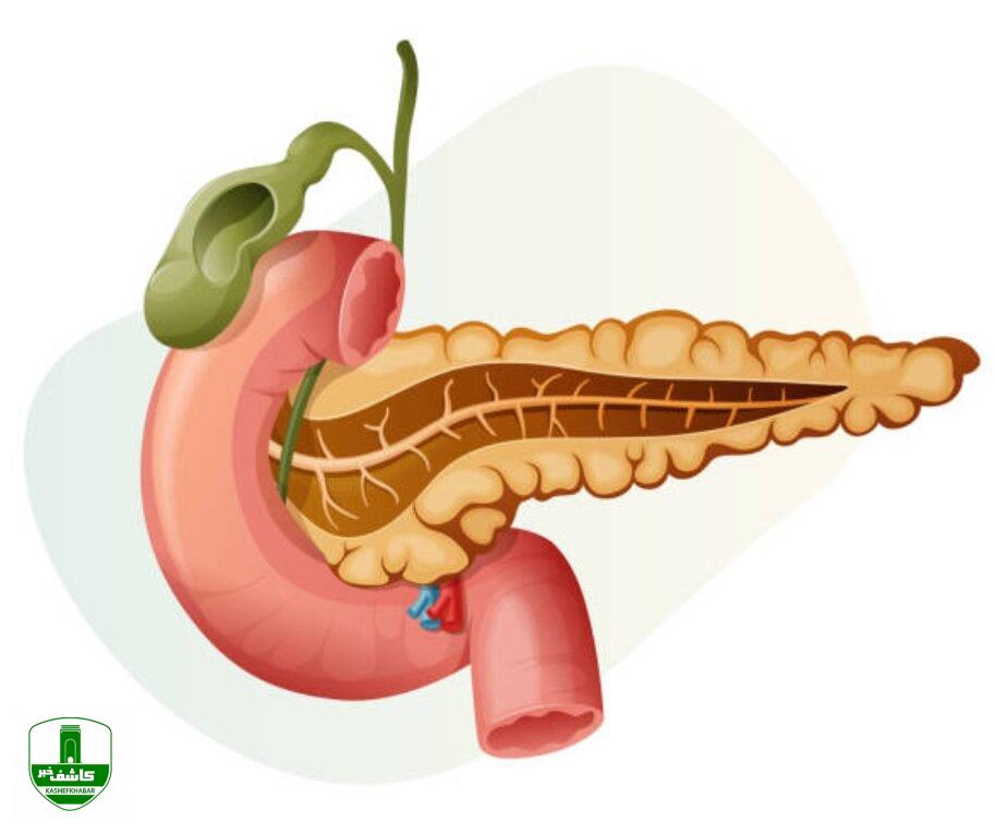 علایمی که نشان میدهد لوزالمعدهتان بیمار است
