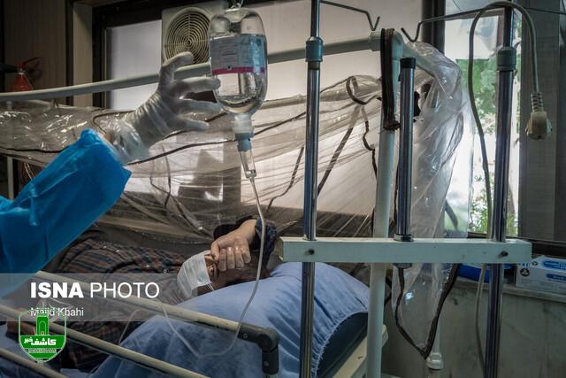 شیب کاهشی پیک دوم آنفلوآنزا در کشور / کرونای «JN.۱» نگرانکننده نیست شیب کاهشی پیک دوم آنفلوآنزا در کشور / کرونای «JN.۱» نگرانکننده نیست