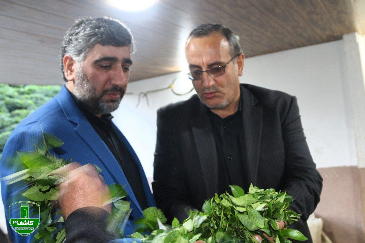 بازدید فرماندار از کارخانجات چای شهرستان لاهیجان بازدید فرماندار از کارخانجات چای شهرستان لاهیجان