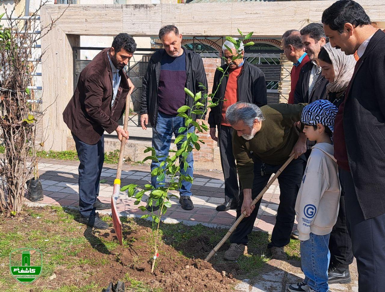 آیین کاشت درخت فرهنگ و هنر در لاهیجان