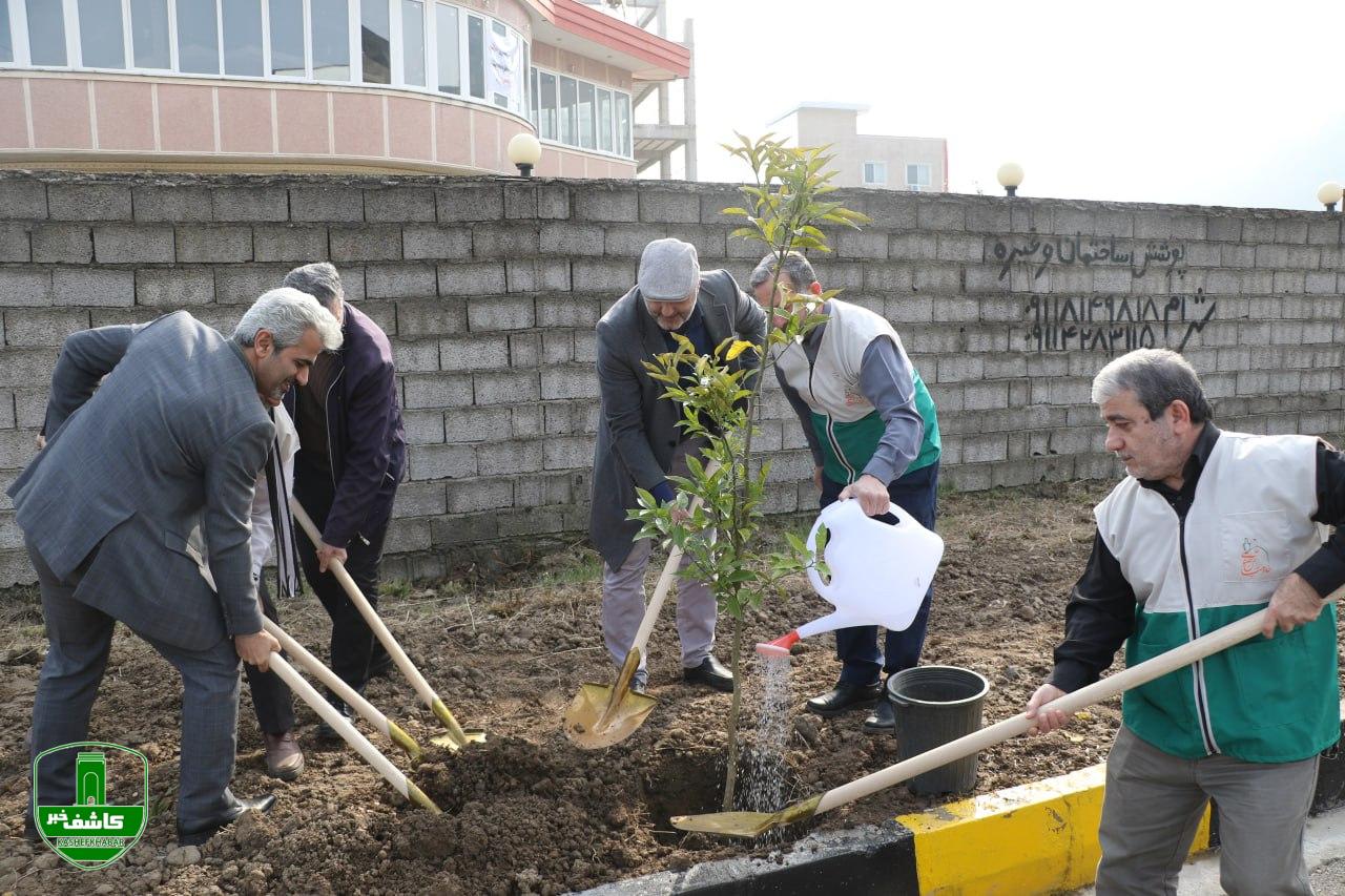 آیین روز درخت کاری مدیریت شهری لاهیجان برگزار شد آیین روز درخت کاری مدیریت شهری لاهیجان برگزار شد