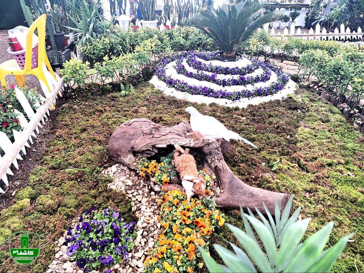 پنجمین نمایشگاه گل و گیاه _ لاهیجان پنجمین نمایشگاه گل و گیاه _ لاهیجان